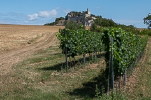 Falkenstein castle in Austria, view from the near fields