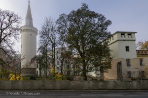 Bor castle in the mist and ducks