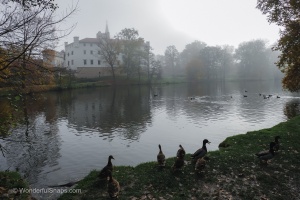 Bor castle in the mist and ducks