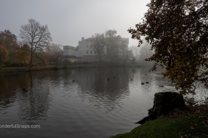 Bor castle in the mist and ducks