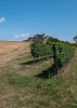 Falkenstein castle in Austria, view from the near fields