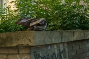 A pair of old leather boots