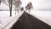 Snowy road with trees