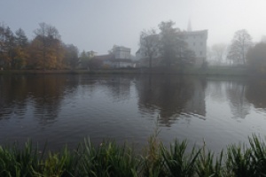 Bor castle in the mist and ducks