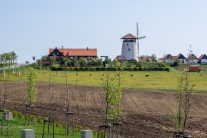 Bukovany wind mill and orchard with field