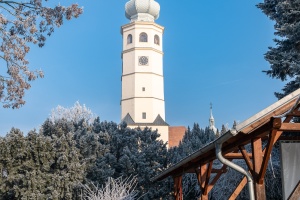 Tovacov Castle and Frozen Trees in the Backyard