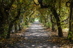 A timeless stroll through the Kromeriz flower garden