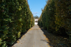 A timeless stroll through the Kromeriz flower garden