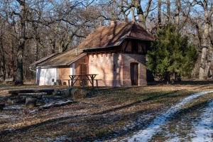 Winter Stillness at the Temple of Diana