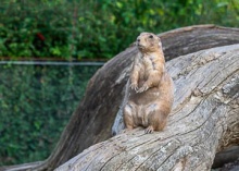 Zoo Brno – one of the first visits