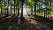 Holedna park