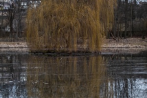 Namest nad Oslavou deer-park