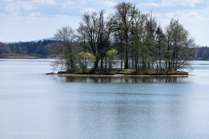 Visit in Trebon
