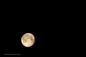 Full moon - hand held