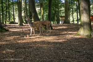 Holedna park
