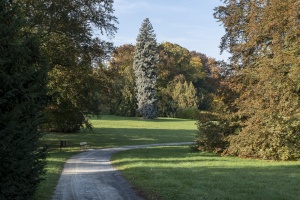 Autumn Light at Cechy pod Kosirem Chateau