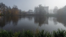 Bor castle in the mist and ducks