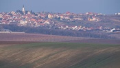 Vineyards Velke Pavlovice in the end of the winter
