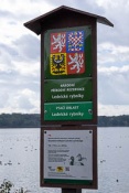 Lednice pond duck and swans