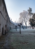 Tovacov Castle and Frozen Trees in the Backyard